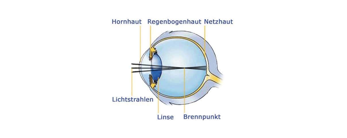 Illustration des menschlichen Auges mit Beschriftungen der Teile wie Hornhaut, Linse und Netzhaut.
